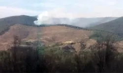 Kütahya'da orman yangını paniği: Değirmisaz Köyü yakınlarındaki yangın söndürüldü