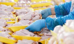 Ticaret Bakanlığı duyurdu: Tavuk etine 'devlet' müdahalesi!