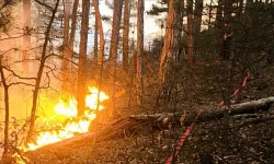 Kütahya'da orman yangını tehlikesi! Soğutma çalışmaları devam ediyor