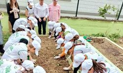 Serdivan'da minik eller, yeşil bir gelecek için tohum ekiyor