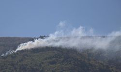 Uludağ eteklerinde ateş: Orman yangınına müdahale ediliyor!