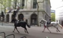 Londra'da sokaklarda başıboş gezen atlar panik yarattı: 1 at ve 4 kişi yaralandı!
