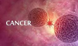 Kanser vakaları artıyor: 2045'te 32 milyon kişi kanser olabilir!