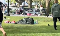 Parkta battaniye altında ilişkiye giren çift insanların öfkesine maruz kaldı