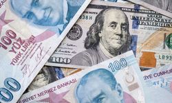 HSBC'den şok yıl sonu dolar tahmini: Doları olan üzülecek!