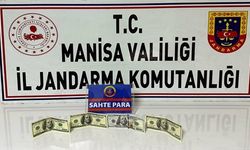Manisa'da eğlence mekanlarında sahte dolarla ödeme yapan şüpheli yakalandı