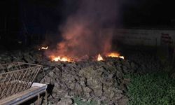 Denizli'de Besihane bahçesinde korku anları: Saman gübre yanmaya başladı