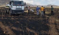 Derik'te Buğday tarlası yanarak kül oldu! 120 dönüm zarar görüldü