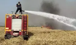 Kumlu ve Reyhanlı'da buğday tarlaları yandı! 77 dönüm buğday ekili alan zarar gördü