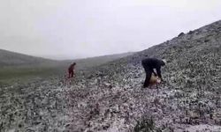 Tunceli'de mayıs ayında kar Sürprizi! Vatandaşlar sobalarını yakmaya devam ediyor