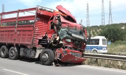 Bursa'da tır şarampole uçtu! kamyon sürücüsü yaralandı
