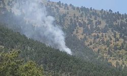 Adana'da korkutan orman yangını: Ekipler anında müdahale etti!