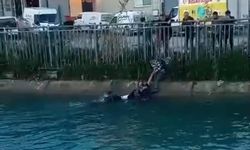 Adana'da ilginç olay:  Sulama kanalına düştü, vatandaşlar kurtardı!