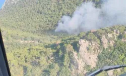 Antalya'da ormanlık alanda yangın! Kontrol altına alındı, 0.2 hektarlık alan zarar gördü!