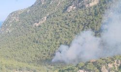 Antalya'da orman yangını: Ekipler müdahale ediyor!