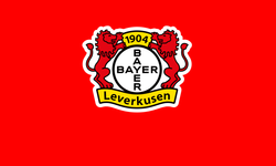 Fenerbahçe'nin iki yıldızına Bayer Leverkusen kancası!