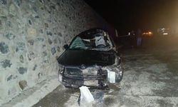 Bingöl'de otomobil başıboş ata çarptı: 1 ölü, 5 yaralı!