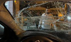 Bursa'da ilginç kaza: Araba hurdaya döndü, at yaralandı!