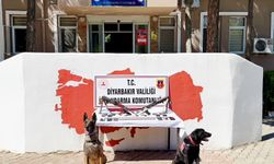 Diyarbakır'da PKK propagandası yapan 11 şüpheli tespit edildi: 6'sı yakalanıp gözaltına alındı