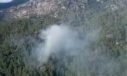 Muğla'da Dalaman Barajı yakınlarında orman yangını: Hızlı müdaheleyle söndürüldü!