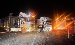 Doğanşehir'de yem yüklü tır devrildi: Yol trafiğe kapandı!