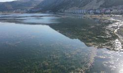 CHP Milletvekili altını çizerek söyledi: ''Eğirdir Gölü yok olma tehlikesiyle karşı karşıya!''