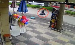 Elazığ'da komedi: Marketten cips çalmaya çalışan karga kameralara yansıdı!