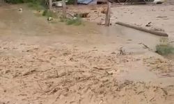 Güroymak'ta sel felaketi: Ahırlar ve tarlalar sular altında!