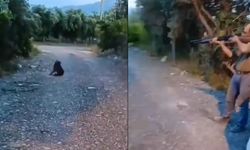 Hatay Samandağ'da köpeği tüfekle öldürdü, sosyal medya ayağa kalktı!