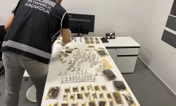 1500 zehirli hayvanla yakalanan müze müdürü: "Araştırma yapıyordum!"