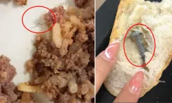 Denizli KYK Yurdunda dehşet görüntüler: Vidalar ve böcekler içinde yemekler!