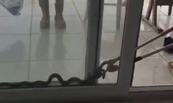 Mersin'de eve giren yılan paniğe sebep oldu