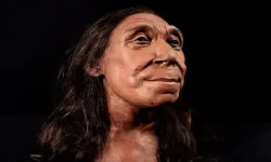 Bilim insanları 75 bin yıllık Neandertal'in gerçek görünümünü ortaya çıkardı