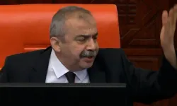 Sırrı Süreyya Önder'den Mehmet Ali Çelebi'ye: ''Kime parmak sallıyorsun? Otur yerine!"
