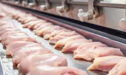 Cumhuriyet Halk Partisi'nden tavuk eti ihracatı sınırlamasına eleştiri: Geleceğe dair güvensizlik oluşturacak!