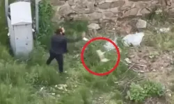 Trabzon'da yavru kediyi tekmeleyip öldüren şahıs polis tarafından aranıyor!