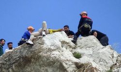 Tuşba'da kayalıklara çıkarak intihar girişiminde bulunan genç baygınlık geçirdi!