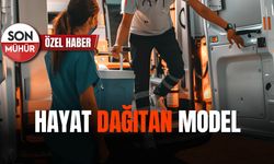 Hayat Dağıtan Model