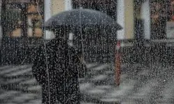 Manisa'da dolu yağışı hayat olumsuz etkiledi!