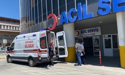 İstanbul'da Kurban Bayramı'nın ilk gününde 513 kişi hastanelik oldu