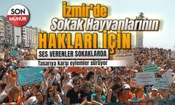 İzmir'de Sokak Hayvanlarının Hakları İçin Ses Verenler Sokaklarda