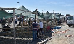 Konya'da kurban pazarı izinsiz kuruldu: Kaçak kurban kesimi yapıldı