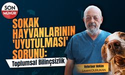 Sokak hayvanlarının 'uyutulması' sorunu: Toplumsal Bilinçsizlik