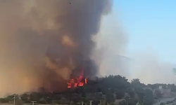 İzmir Kemalpaşa'da yangın: Çiniliköy yanıyor!