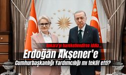 Cumhurbaşkanı Erdoğan Meral Akşener'e Cumhurbaşkanlığı Yardımcılığı mı teklif etti?