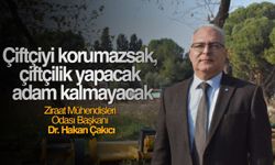 Çiftçiler TMO'nun fiyat açıklamasına feveran etti!