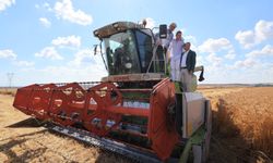 Başkan Ekrem İmamoğlu Silivri'de yerli buğday hasadına katıldı!