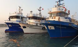 Ege Denizi’nde uluslararası sularda avcılık izni: Yeni dönem başlıyor