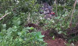 Giresun'da kamyonet fındık bahçesine yuvarlandı: 2 ölü