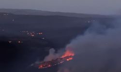 Kastamonu'da yıldırım faciası: İki farklı noktada orman yangını çıktı